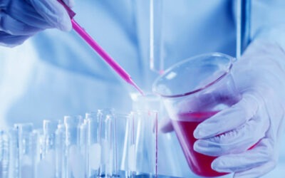 Gender and sex bias in scientific research