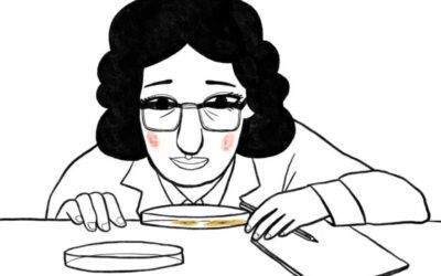 The invisibility of women in science