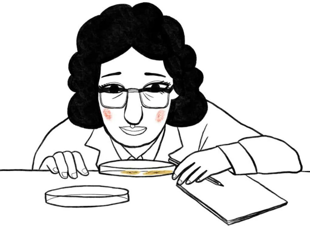 Invisibility of women in science